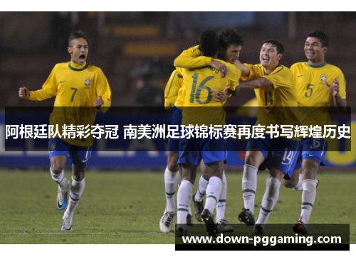 阿根廷队精彩夺冠 南美洲足球锦标赛再度书写辉煌历史